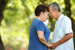 An Annuity Income Solution 