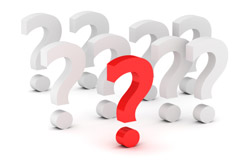 Questions we will ask