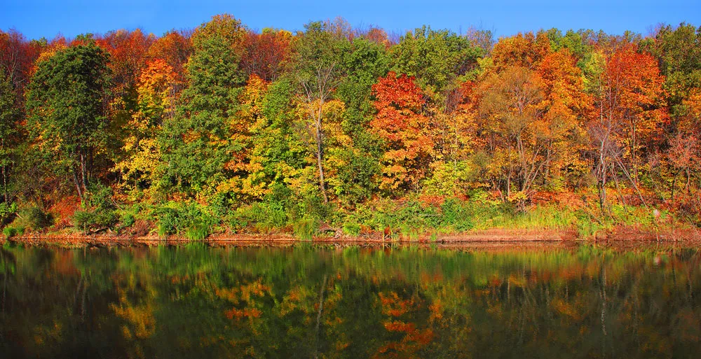 Autumn trees with vibrant foliage are reflected in calm water